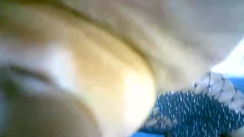 Snapshot of nastyafrika chatting on September 13, 2025, 4:34 am Marie online show from September 13, 2025, 4:34 am