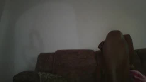 Snapshot of nastyessy1 chatting on October 7, 2025, 8:55 am nastyessy1 online show from October 7, 2025, 8:55 am