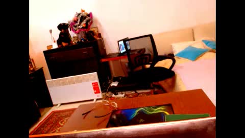 natali online show from January 5, 2025, 9:15 am