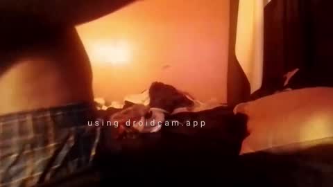 nathanbutler0 online show from October 31, 2025, 5:52 am