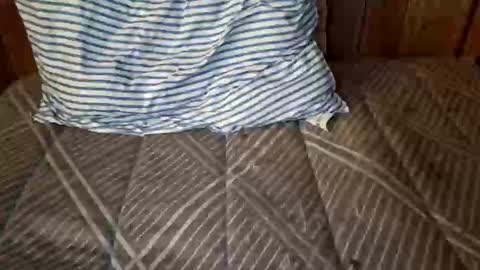 nativejoker_1995 online show from October 4, 2025, 9:13 pm