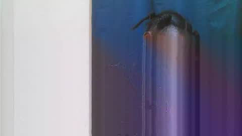 jn online show from March 28, 2026, 6:29 pm