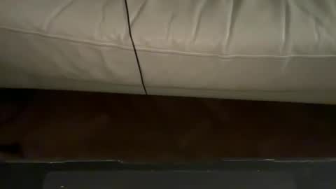 Snapshot of navigatingtothesky chatting on November 18, 2025, 11:48 pm navigatingtothesky online show from November 18, 2025, 11:48 pm