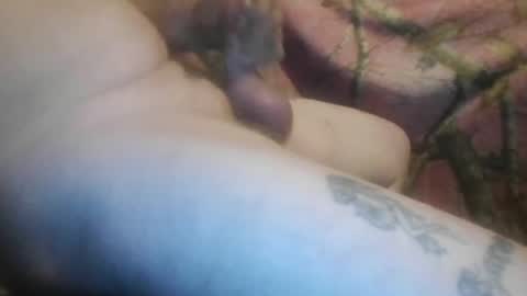 ned is naughty online show from February 12, 2026, 8:31 am