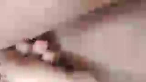 Snapshot of negrett_ chatting on June 1, 2026, 5:03 pm negrett_ online show from June 1, 2026, 5:03 pm