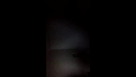 Snapshot of nekfkskw chatting on December 3, 2025, 6:21 am nekfkskw online show from December 3, 2025, 6:21 am