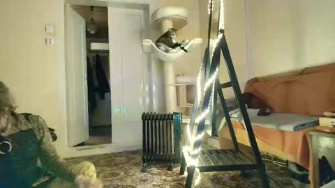 Snapshot of nessieanalemma chatting on February 5, 2026, 12:43 pm nessieanalemma online show from February 5, 2026, 12:43 pm