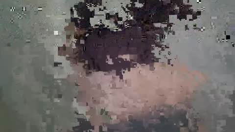 Anastasia online show from March 18, 2026, 2:53 pm