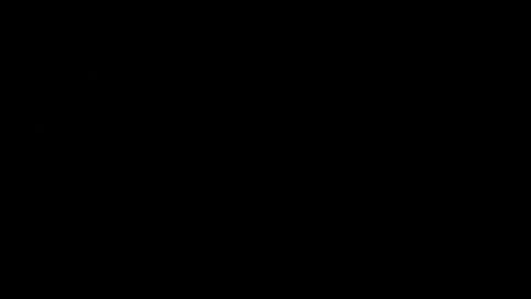 never_forget_this online show from February 14, 2026, 2:41 am