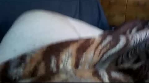 Snapshot of neverseentthatb4 chatting on December 1, 2024, 7:36 pm Matt online show from December 1, 2024, 7:36 pm