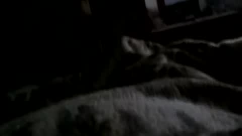 Snapshot of neverseentthatb4 chatting on December 11, 2024, 7:42 am Matt online show from December 11, 2024, 7:42 am