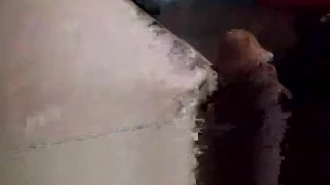 Matt online show from November 23, 2025, 9:03 pm