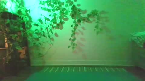 luna online show from December 27, 2024, 10:48 pm