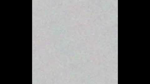 Snapshot of nia__s chatting on December 17, 2025, 11:38 am Nia online show from December 17, 2025, 11:38 am