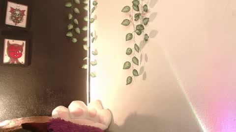  niakat  online show from January 16, 2026, 3:10 am