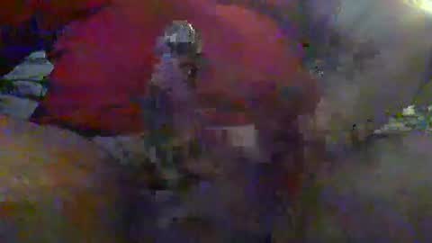 nice_cock8080 online show from January 12, 2026, 12:38 am