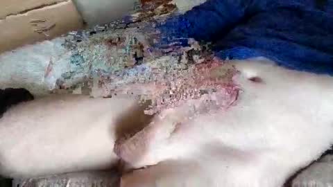 nice_dicknballs online show from May 2, 2026, 10:09 am