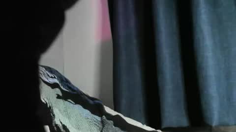 Black Tarzan online show from December 22, 2024, 5:56 am