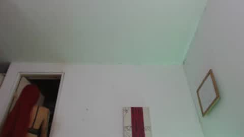 Snapshot of nico_hoot chatting on December 12, 2024, 1:06 pm sammy hoot online show from December 12, 2024, 1:06 pm