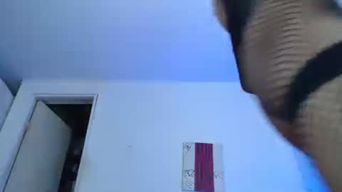 Snapshot of nico_hoot chatting on December 29, 2024, 2:17 am sammy hoot online show from December 29, 2024, 2:17 am