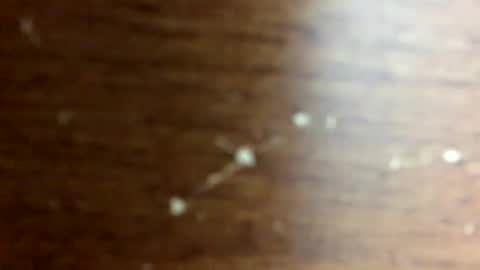 nightmoves1970 online show from October 14, 2025, 2:45 am