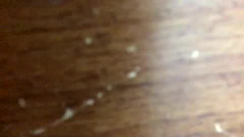 nightmoves1970 online show from November 20, 2025, 2:34 am