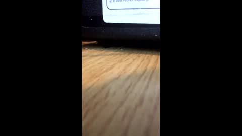 nightmoves1970 online show from December 2, 2025, 1:00 am