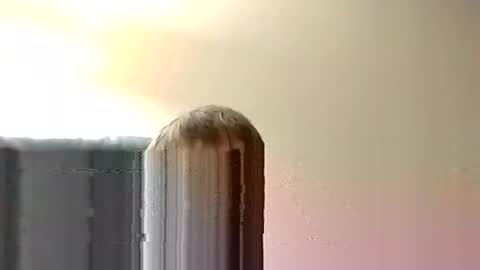 nightnightlol online show from December 8, 2024, 9:41 pm