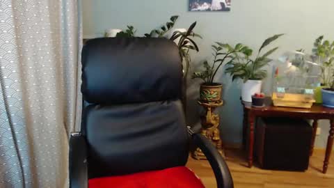 Nika online show from December 10, 2024, 3:55 pm