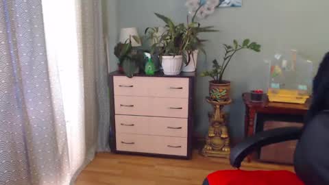 Nika online show from February 2, 2025, 1:08 pm