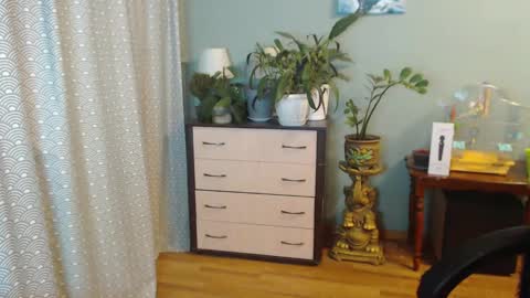 Nika online show from February 28, 2025, 7:35 pm