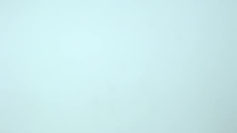 Nilly online show from December 18, 2024, 11:24 am