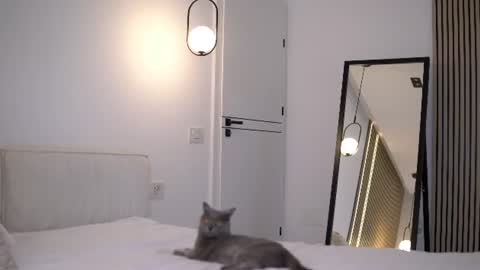 Nicole online show from July 6, 2026, 6:43 am