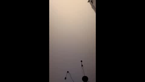 neighbours online show from January 16, 2026, 12:14 am