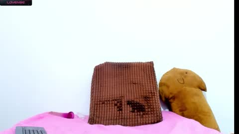 dayan online show from January 14, 2025, 3:26 pm