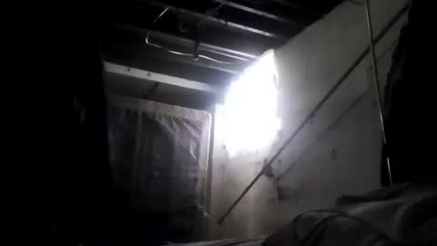 nillapuddin2 online show from February 2, 2025, 2:24 pm