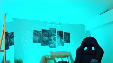 Nils online show from February 20, 2026, 6:48 am