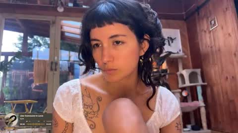 Nina.  online show from December 18, 2025, 8:15 pm