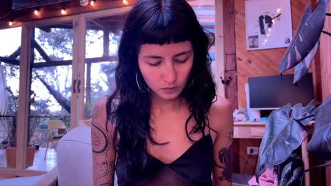 Nina.  online show from April 4, 2026, 9:12 pm