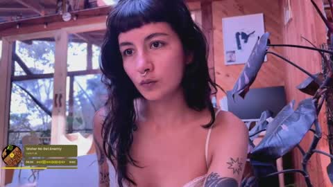 Snapshot of nina_just chatting on May 11, 2026, 7:44 pm Nina. online show from May 11, 2026, 7:44 pm