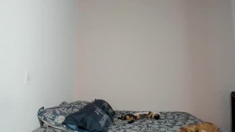  Nina  online show from November 22, 2025, 8:41 pm