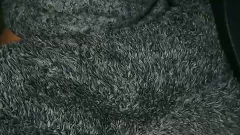 nineinchhard online show from December 16, 2025, 9:25 am