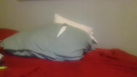 Snapshot of ninjamonkey23 chatting on January 11, 2025, 12:01 am ninjamonkey23 online show from January 11, 2025, 12:01 am