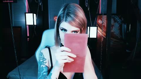 Snapshot of noah_elmer chatting on February 8, 2025, 8:32 pm REAL name LiaDM are always open online show from February 8, 2025, 8:32 pm