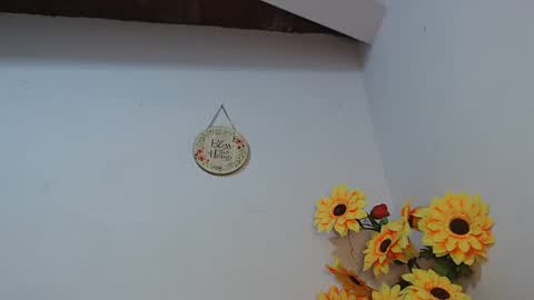 Noah Millers online show from January 8, 2025, 10:15 am