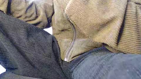 Noah Millers online show from January 20, 2025, 8:30 am