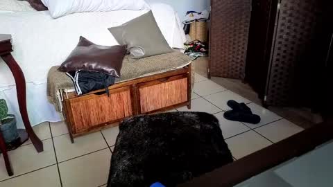 nobudget06 online show from February 25, 2025, 11:00 pm