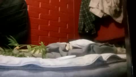 nocturnus1980 online show from September 23, 2025, 5:21 am