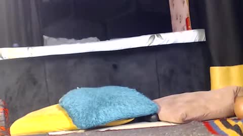 Snapshot of noircandy chatting on December 16, 2024, 10:03 pm Noir Thats My Name Call Me Bablicious online show from December 16, 2024, 10:03 pm