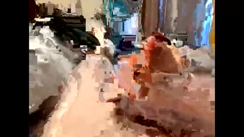 nolplus online show from March 5, 2025, 5:40 am